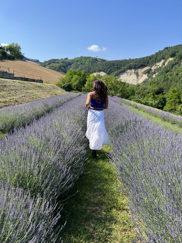 estate in emilia romagna