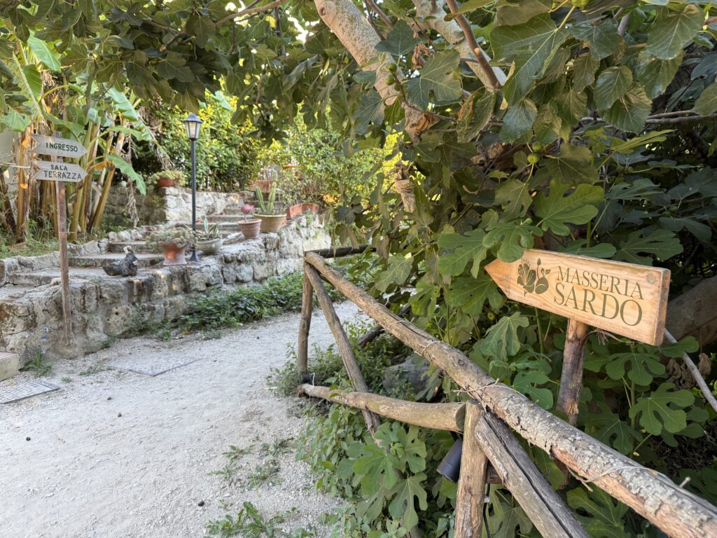 campi flegrei