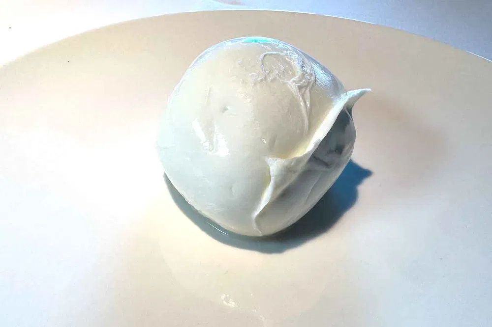 mozzarella