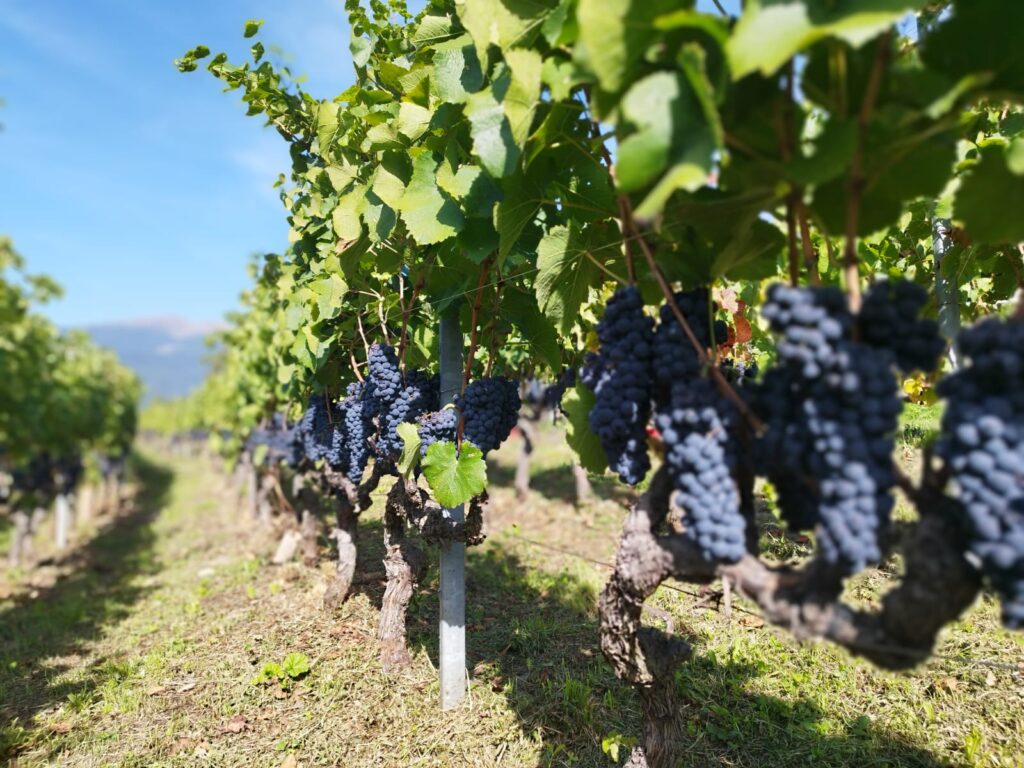 valle d'aosta