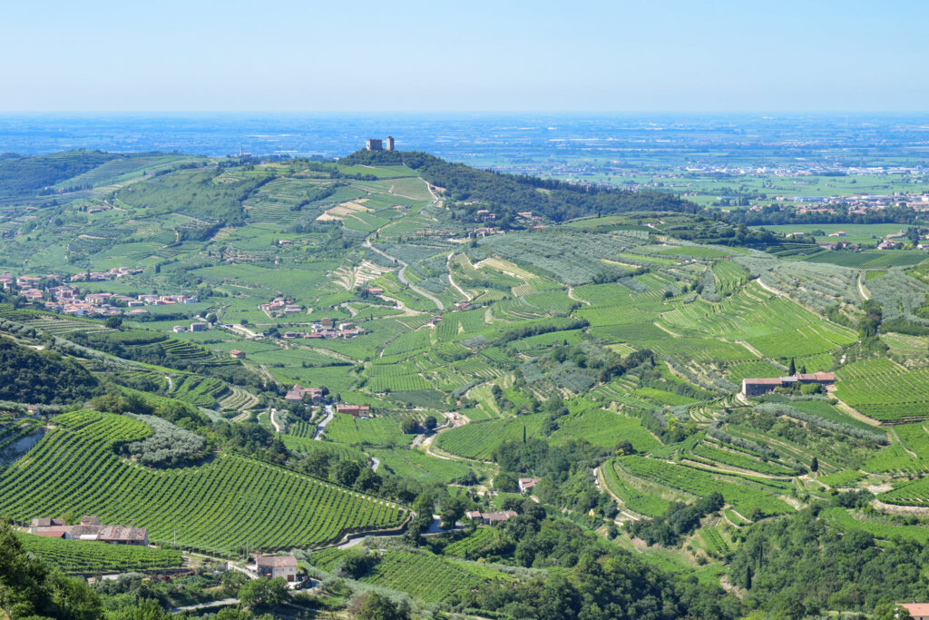 valpolicella