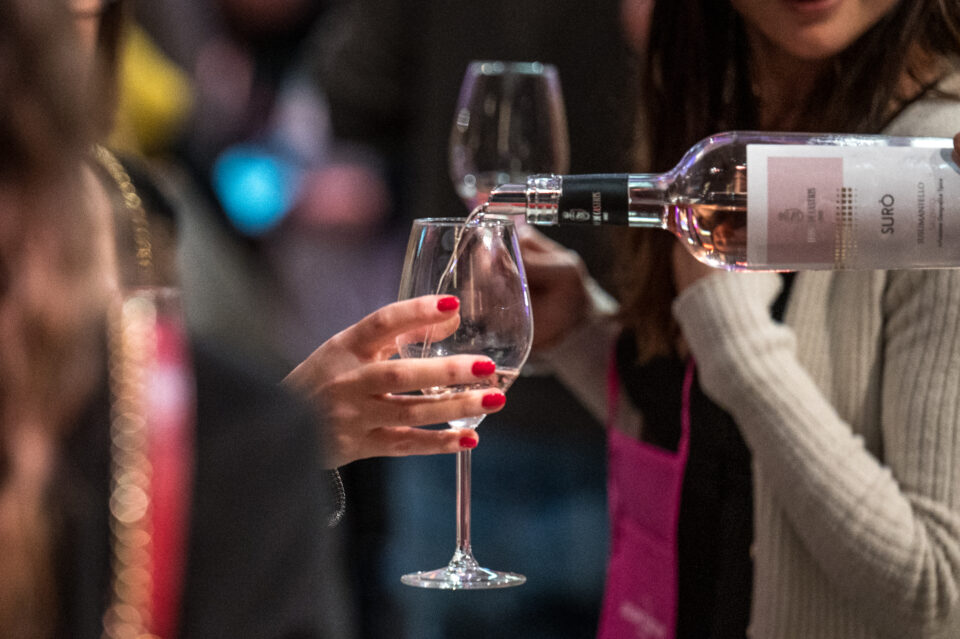 i migliori vini del lazio