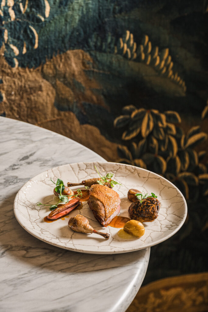 Piccione con il suo fondo, radici, rabarbaro