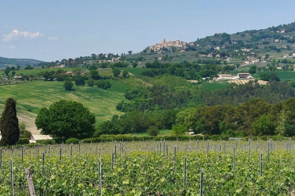 montefalco