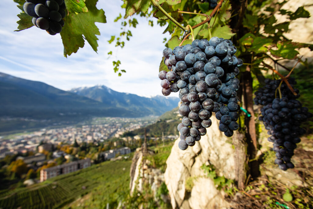 valtellina