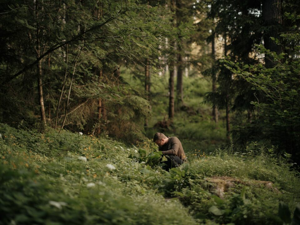 Alpessenz - Chef Matthias Kirchler