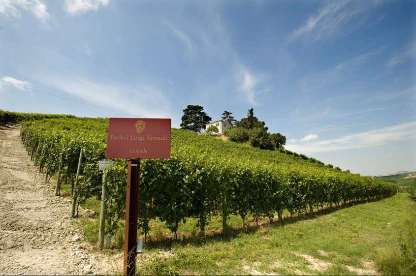 langhe